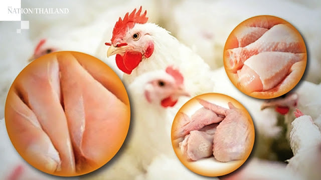 為何「無激素」雞肉更健康？第二篇