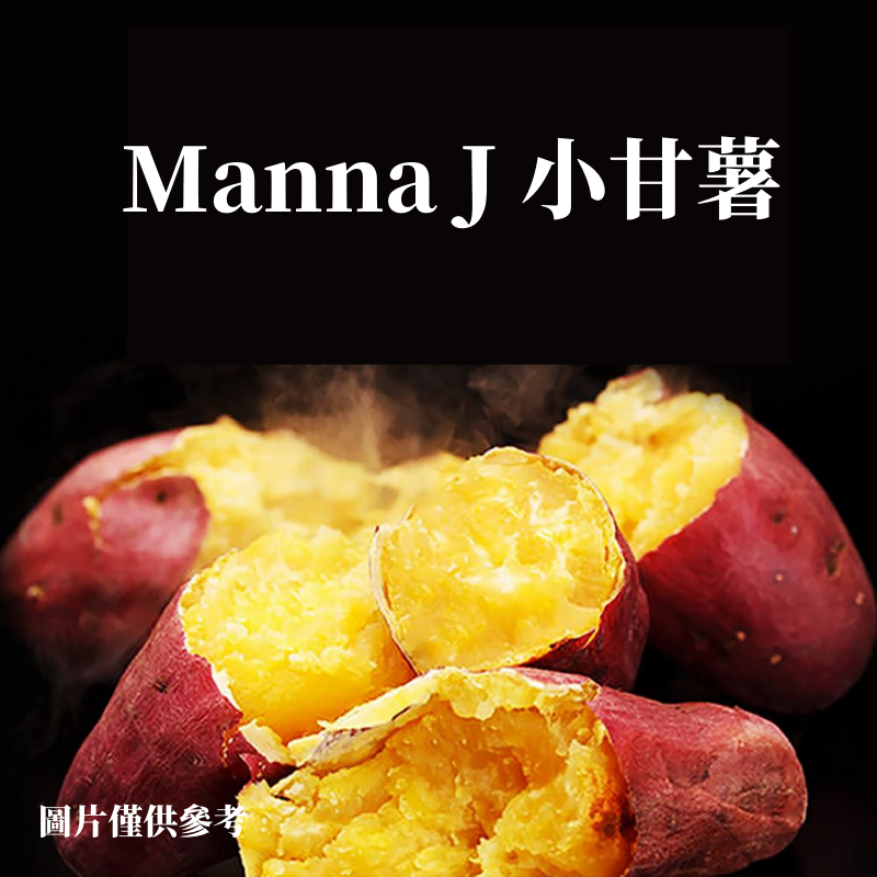 Manna J 小甘薯 500g/包 （急凍）-日本食材-打邊爐食材-氣炸食譜-日本刺身- iEATplus日本業務超市
