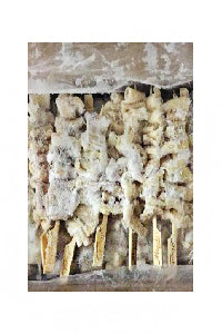 生雞皮串50串/盒（急凍）-日本食材-打邊爐食材-氣炸食譜-日本刺身- iEATplus日本業務超市