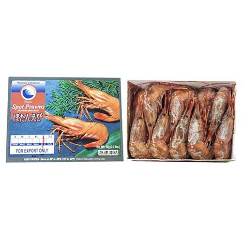 阿拉斯加WATANBE牡丹蝦 J (15-20隻) 1Kg-日本食材-打邊爐食材-氣炸食譜-日本刺身- iEATplus日本業務超市