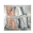 三文魚尾切件300g（急凍海產）-日本食材-打邊爐食材-氣炸食譜-日本刺身- iEATplus日本業務超市